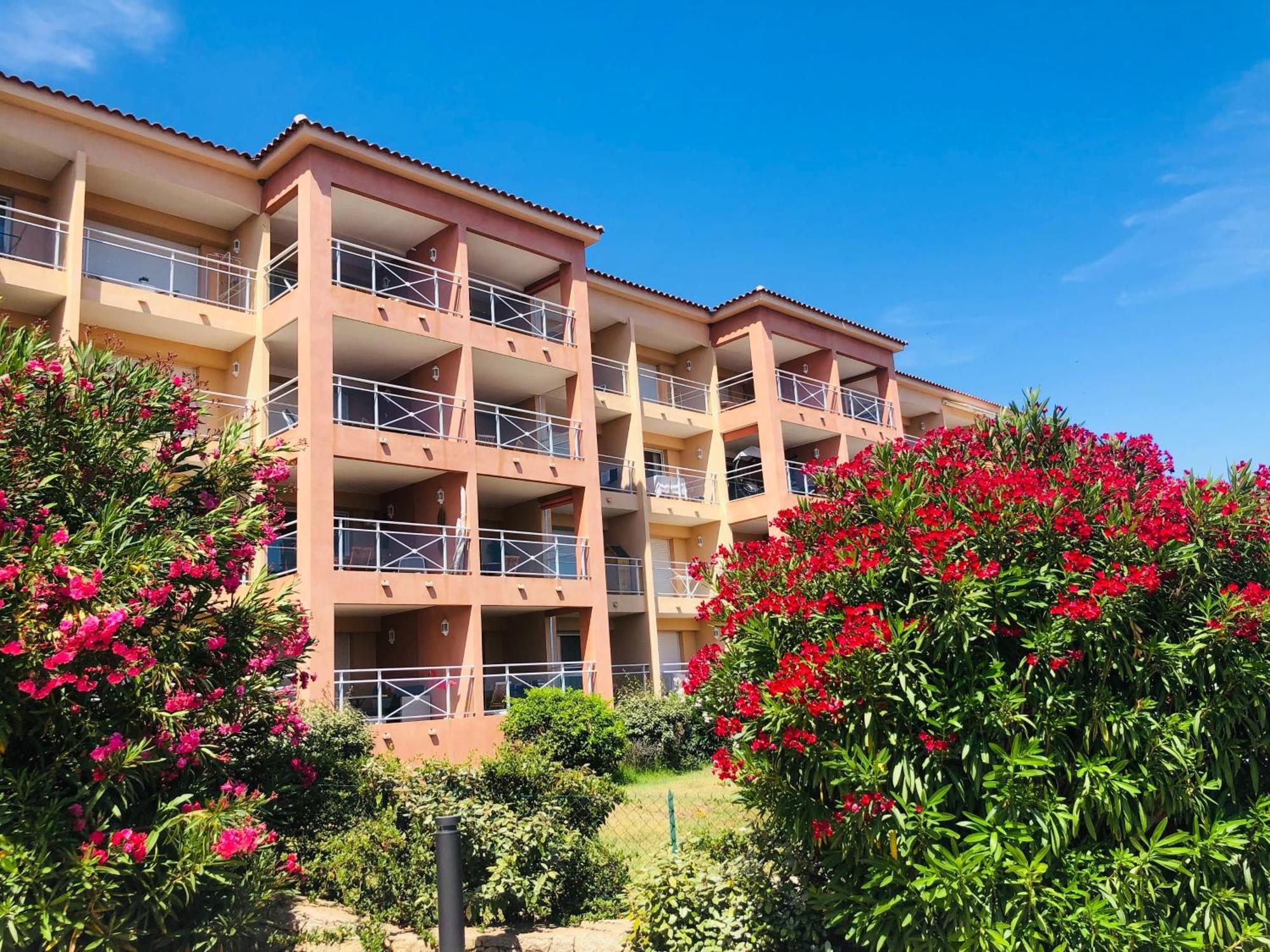 Superbe T2 Vue Mer - Piscine & Plage A 100M Ajaccio  Kültér fotó