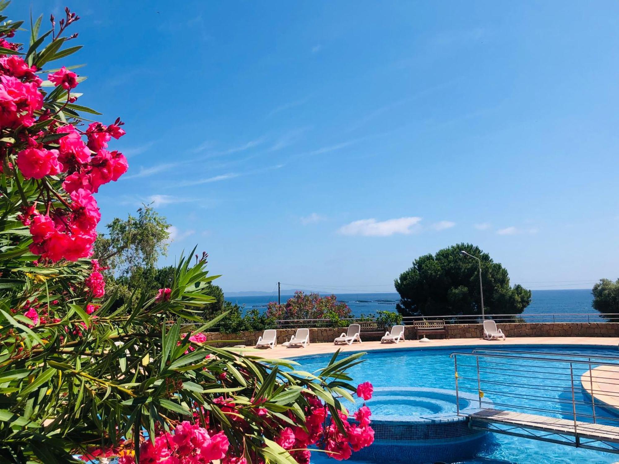Superbe T2 Vue Mer - Piscine & Plage A 100M Ajaccio  Kültér fotó